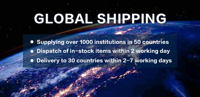 GLOBAL SHIPPING